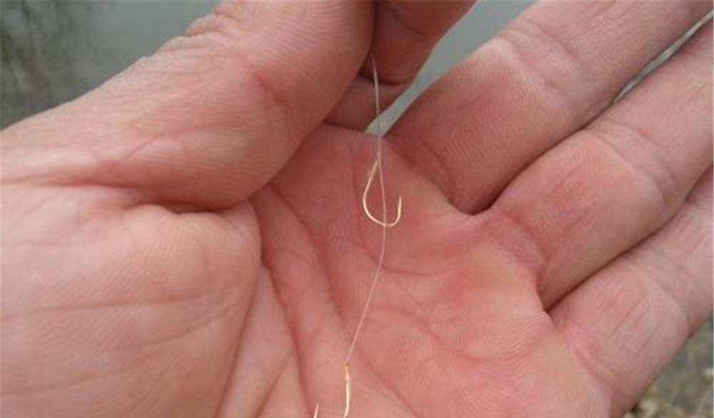 饵料|钓鱼经常跑鱼，而且出现在“半路”？把子线调整下，效果立竿见影