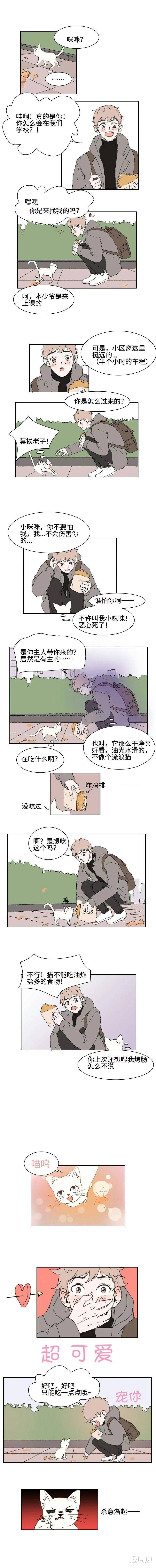 acgn漫评|「短篇漫画」回家路上捡了只猫（中）