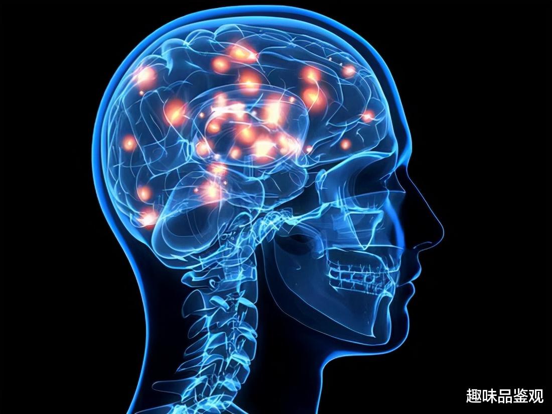 14年前的穿越者,自称是寄生人类的外星生命,留下神秘代码(下)