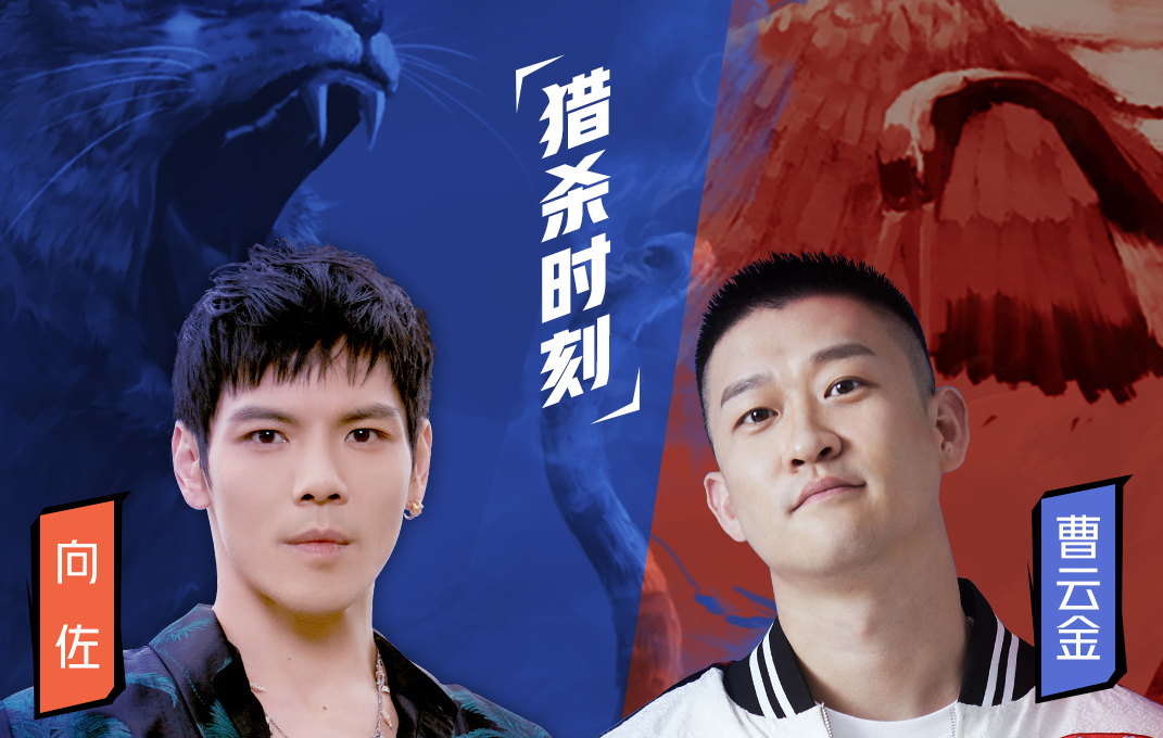 向佐|向佐突发意外退赛，曹云金不战而胜！但他才是功夫嘉年华最大赢家