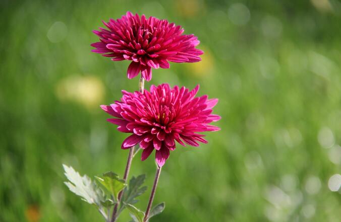 星座彩虹坊|家庭主妇就是享福？婆婆的话让儿子醒悟