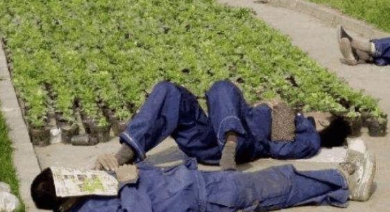 火车 继“亚洲蹲”后,我国又一动作难倒老外,外国人大呼做不到