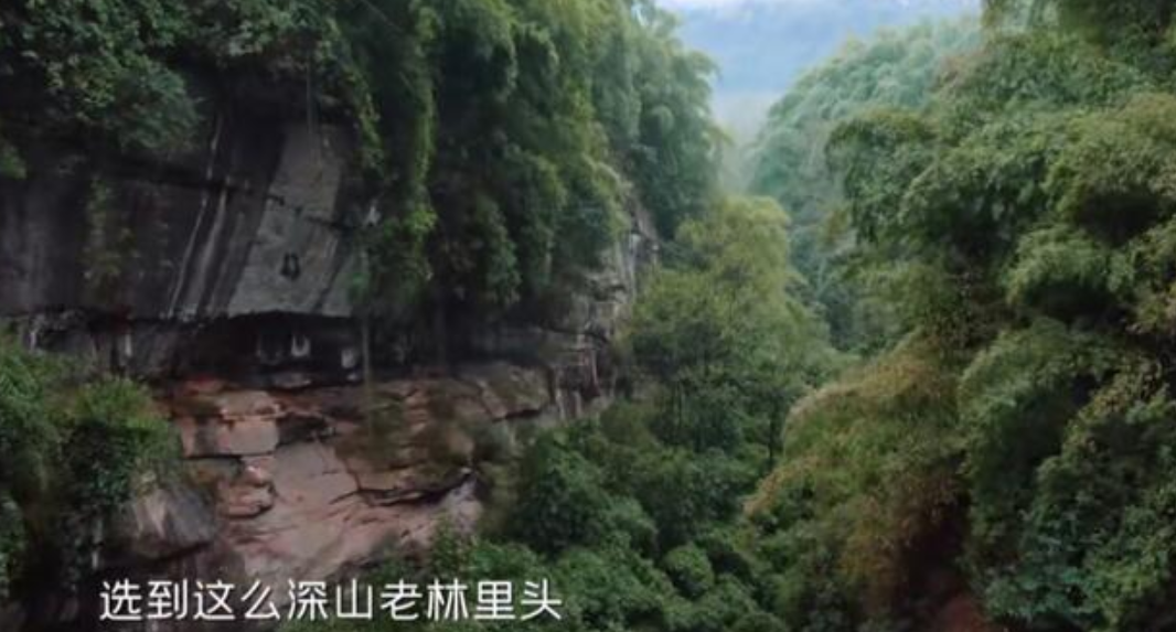 奶果的妈咪 刘涛接替谢娜当《妻子5》团长，蒋勤勤上来就搞事，说有她不想来