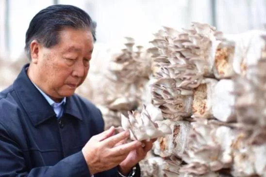林占熺:用菌草造福全人类