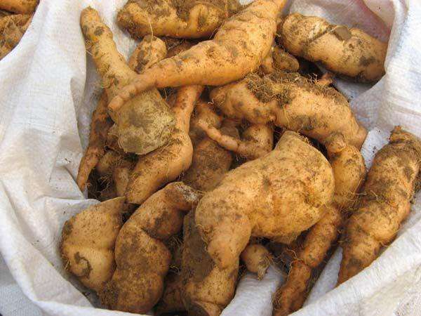 偶金健康|男人“战场”辨雄雌，枸杞泡点它，身体“猛如虎”