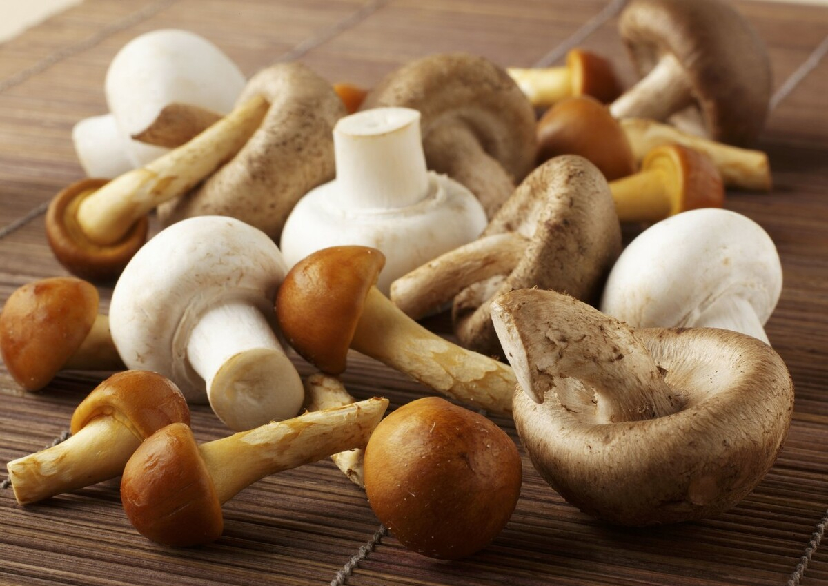 母婴参考|夏季养胎蔬菜，孕妈多吃，胎宝更健康聪明，但吃法不对或致胎停