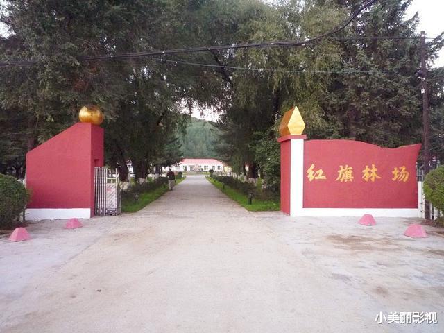 外星人 声称自己曾4次接触外星人,2次与女外星人约会,孟照国经历了什么