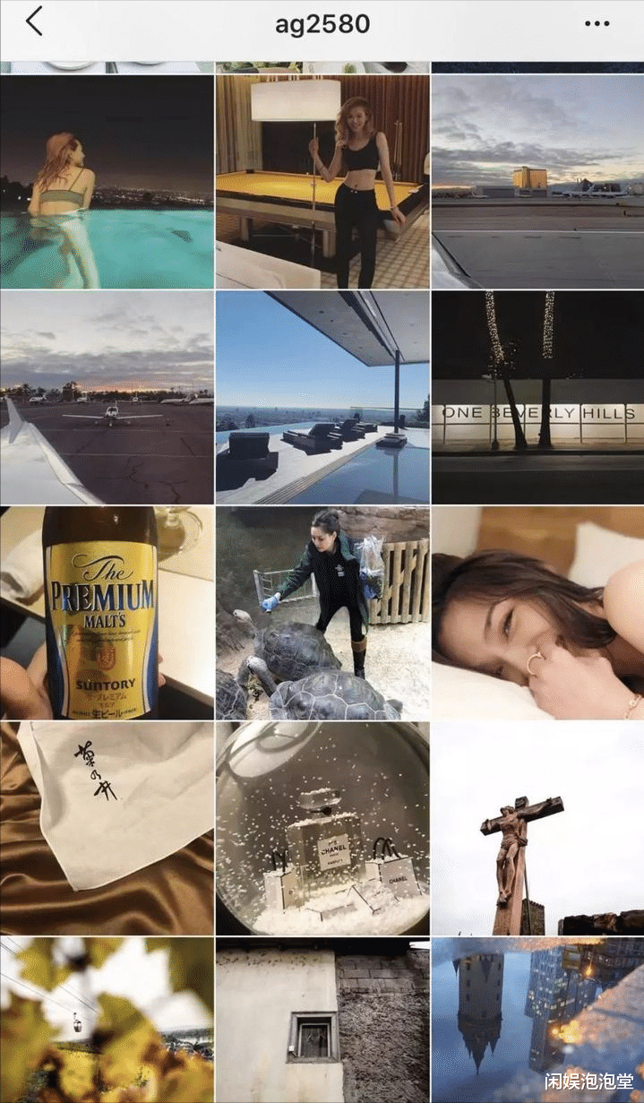 赵子易|“狗保姆”熬走多任女友,人仗狗势的赵子易,和王思聪是啥关系?