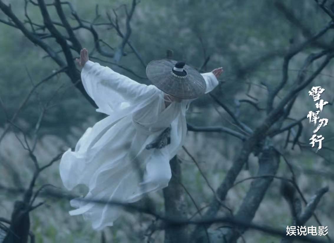 徐凤年|《雪中悍刀行》首播，张天爱侠女范十足，胡军张若筠父子情太搞笑