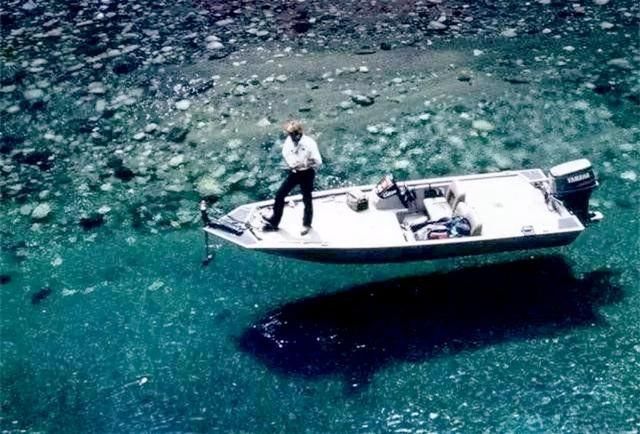 马尾藻海据说是最危险的海,透明度达72米,为什么无人敢踏足?