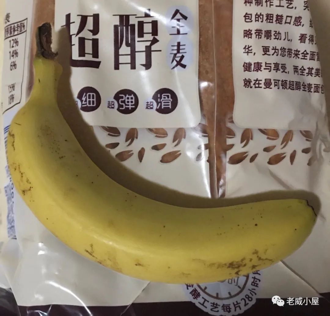 跑步|晨跑的良好打开方式：我是这样做的