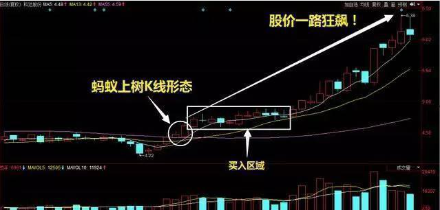 股价 中国股市：睁大眼看“蚂蚁上树”形态，一种牛股底部起涨信号！