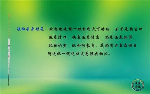 佛系|图解钓鱼浮漂的种类和用途与调漂技巧