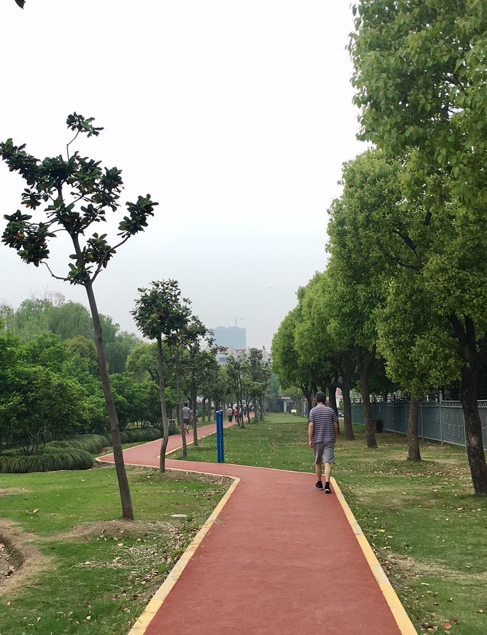 疾病|中老年人不宜晨练因为空气污浊有损健康？真相或许跟你想的不一样