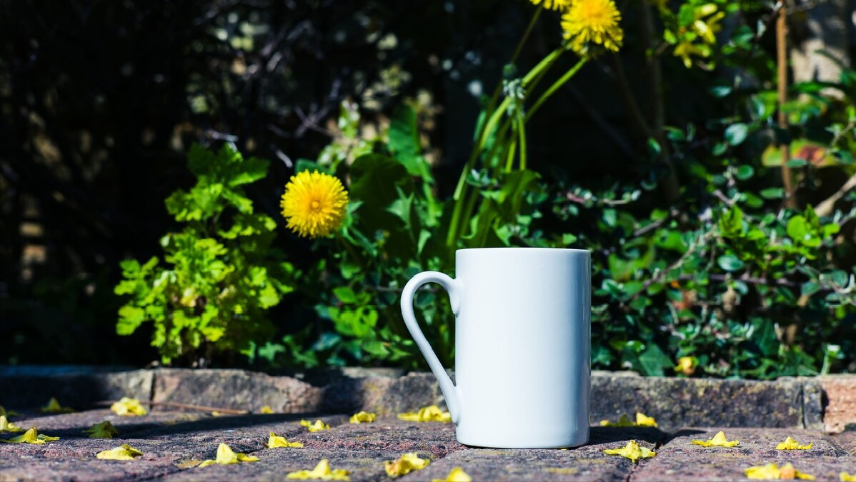 静东堂 妇科炎症的“克星”找到了，敞开吃，赶走炎症，子宫变健康