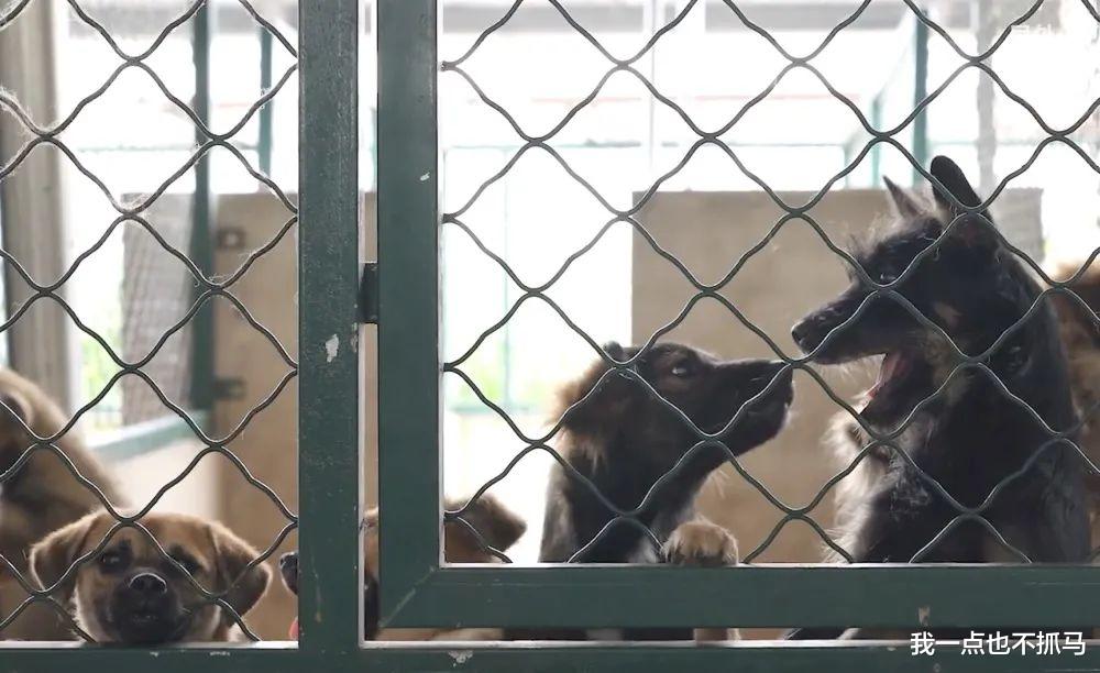 萧敬腾|萧敬腾上亿豪宅曝光后，我却看到了这个和尚