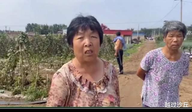 河北老人的“偷菜团”:他们偷走的是白菜,丢失的却是良知和尊严