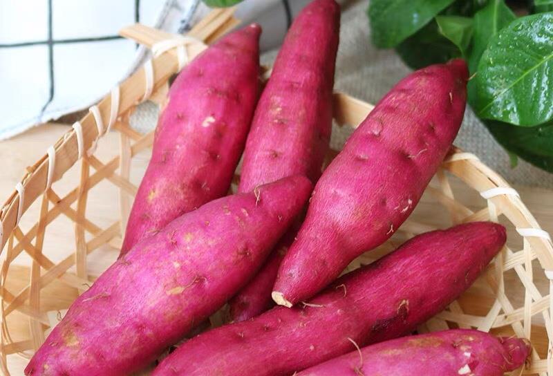 柿子|秋分时节，这6种秋日食材要多吃，防秋乏去秋燥，应季而食身体好