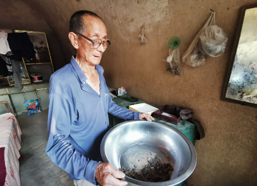 7旬老人抓蝎子,收购价1公斤900元,网友质疑:不违法吗?