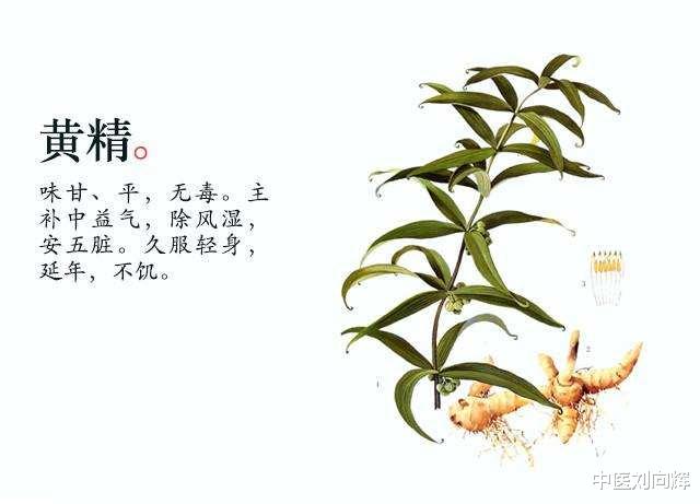 心律失常|改善心律失常的小方子,补气养血、理气止痛