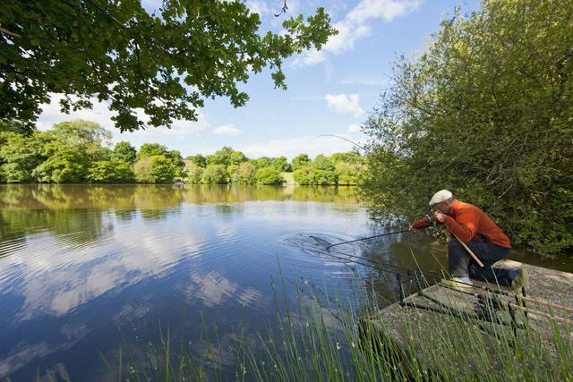 |夏季难钓午时鱼？选择这四个地方助你捅到鱼窝