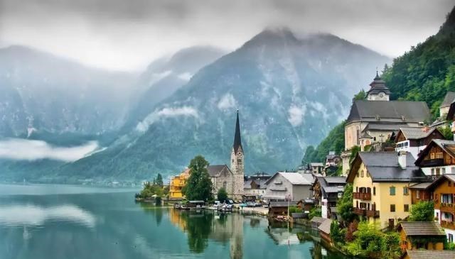 树懒 除12年一次的交配，其它时间都基本静止，它们是地球上最懒的生物