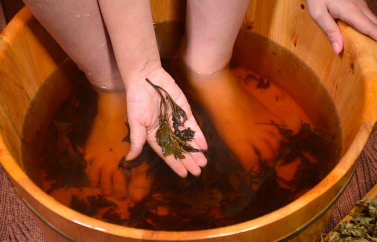 中草药|民间老药工留下的补阳方子，四味草药，当“零嘴”吃，横扫阳气