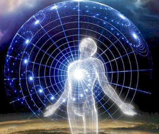 科学家 为什么现在很少提“克隆”了？“多莉羊”的一生就是答案，太可怜