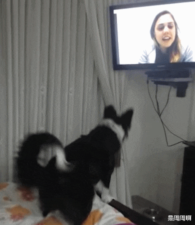 车祸 “25岁小伙被40岁阿姨老牛吃嫩草，问题是还很美！”这波真的赚了