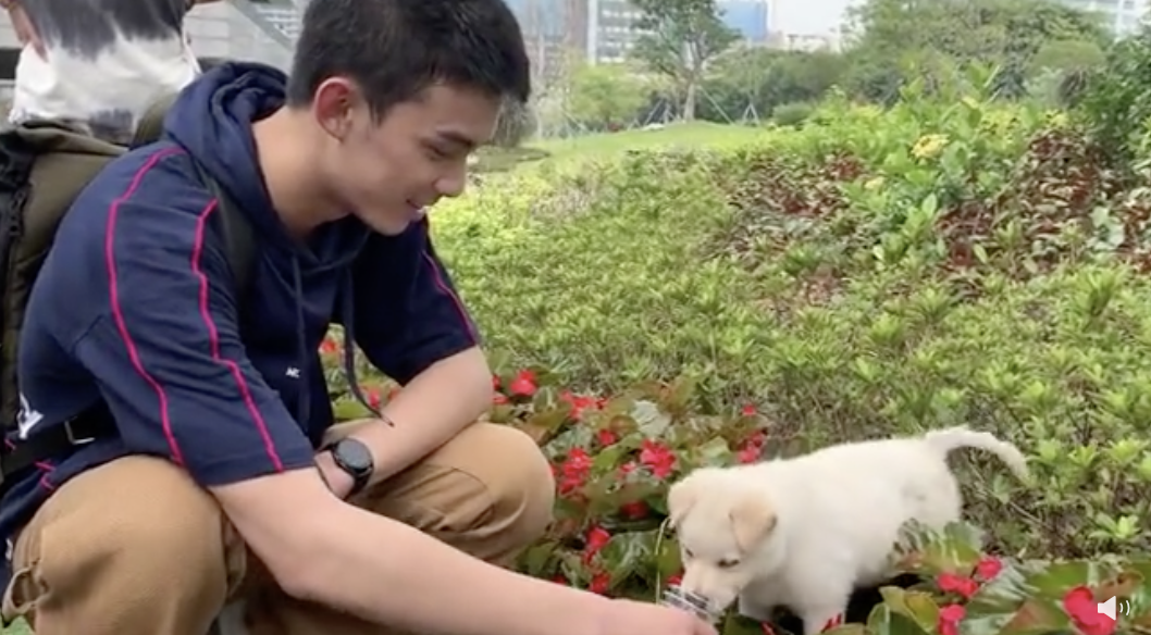 吴磊|吴磊和她的私照曝光，却意外揭露了她的生存现状