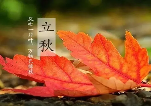 平直堂|立秋应节气、顺天时，艾灸养生做好“收”与“养”!
