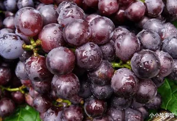 小小故事馆|血脂高的人夏天能吃葡萄吗？医生：想降脂的人，这5种水果可常吃