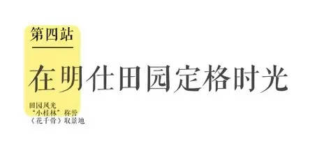 新广西 据说这是国内最美的景观公路之一,沿着它走,可以到达“秘境桃花源”