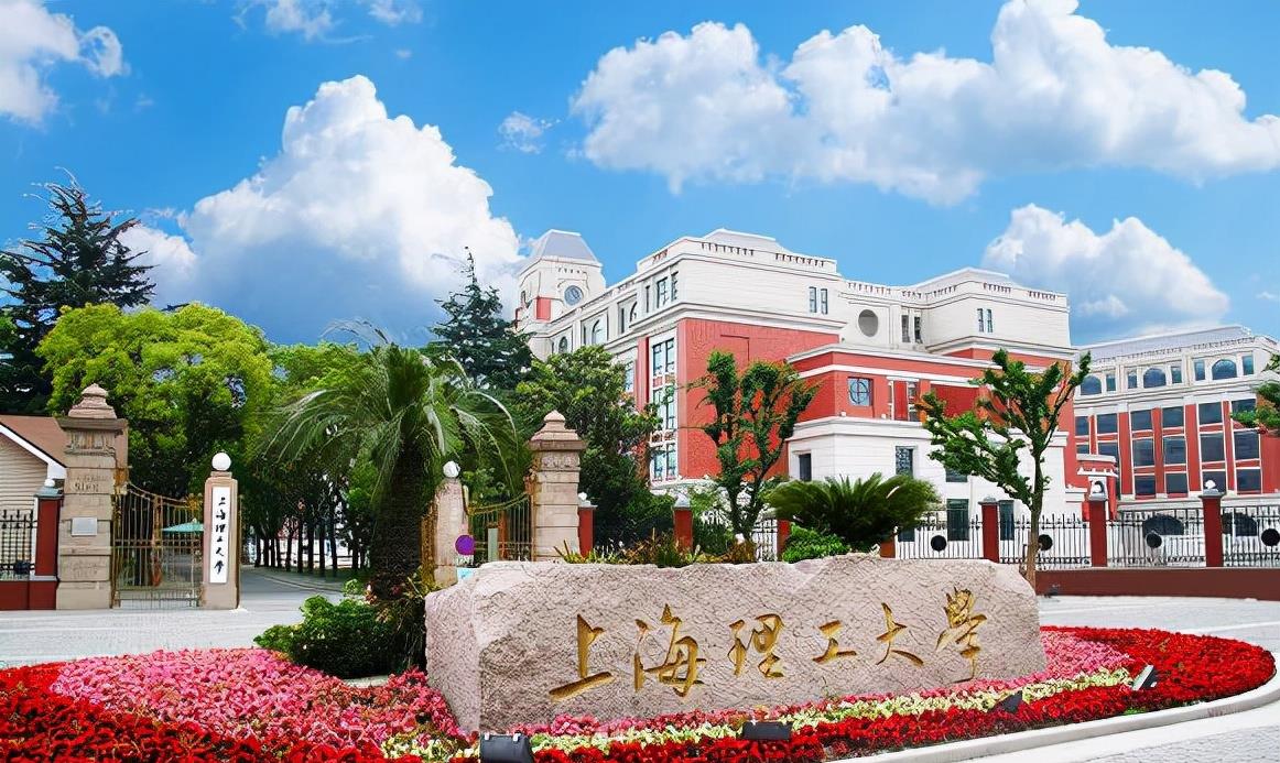 上海市|她是上海理工大学本科生，因一份简历家喻户晓，旁人直言又美又飒