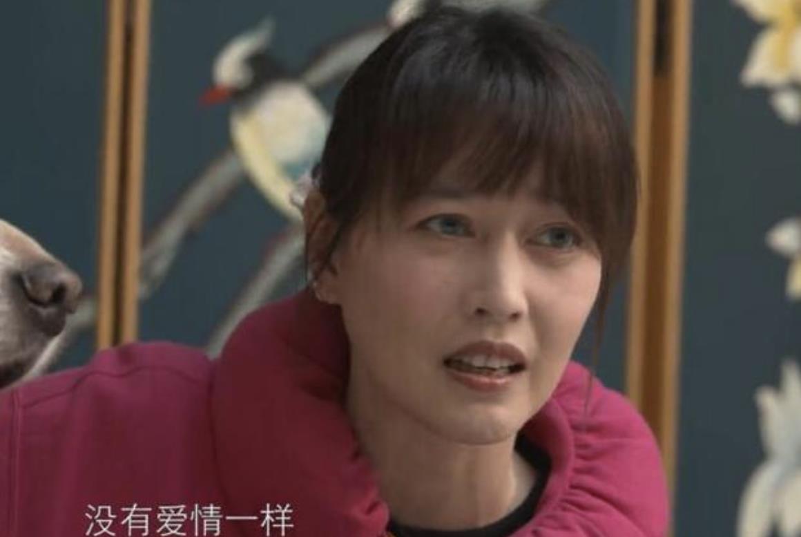 张嘉倪|20年过去，患红斑狼疮隐退的周海媚，怎么突然不红了？