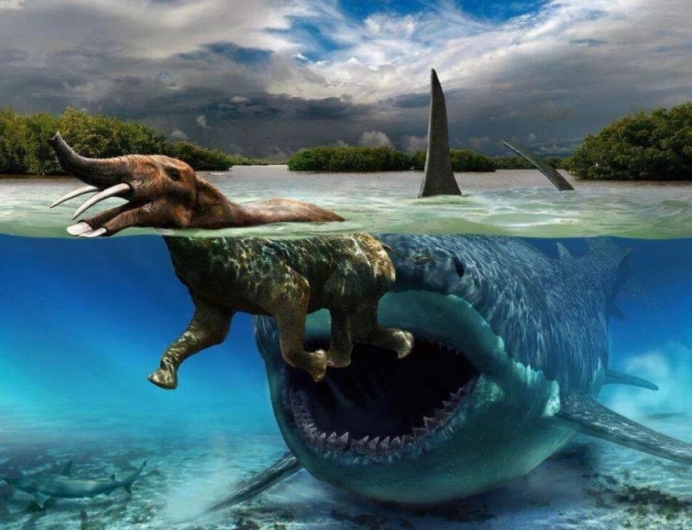 沧龙 巨齿鲨VS沧龙，王者之间的对决，谁才是真正的王者？