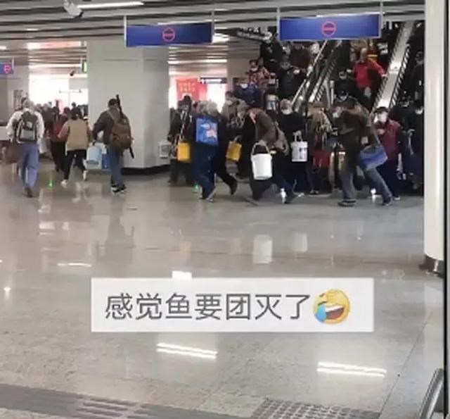 |南京大爷组团赶地铁钓鱼，被调侃人比鱼多，欢笑的背后更多是无奈