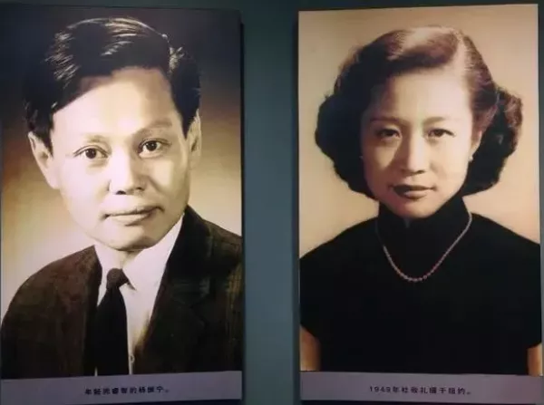 杨振宁|杨振宁即将100岁,遗嘱曝光:相守17年,45岁的翁帆图什么?