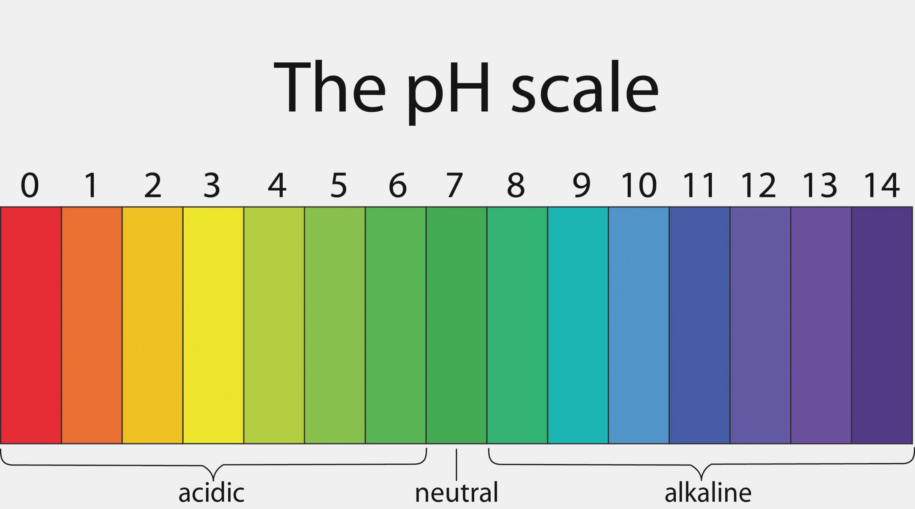 |涨知识:钓鱼人必须要知道的蚯蚓生活习性和保存方法!