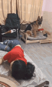 王者星座之说|“提醒女孩子，上完大便后千万不要往前擦...”哈哈哈哈哈，评论区亮了