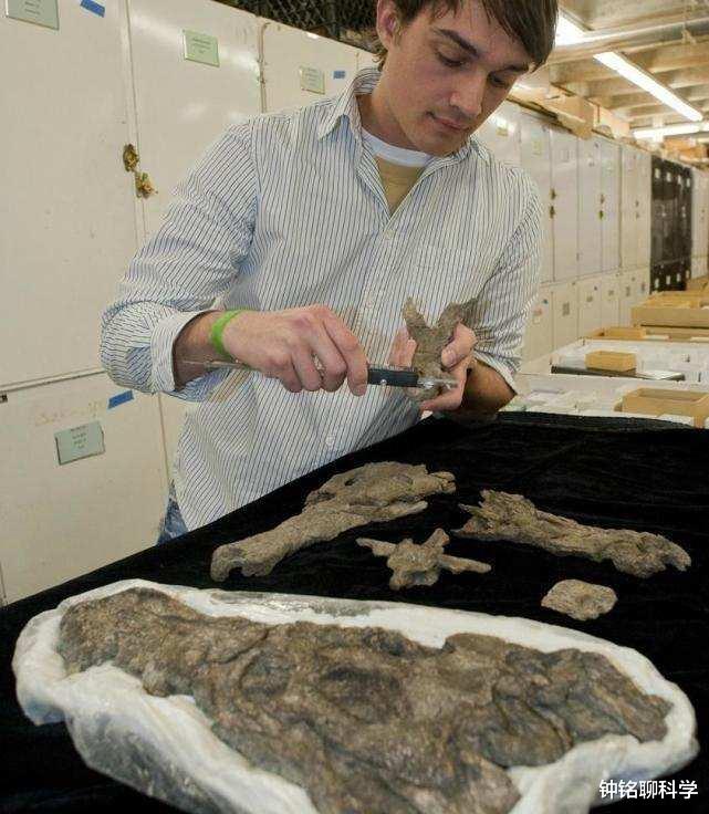 霍金 5600万年前，重达1吨大蛇成食物链的顶端，形成原因或再次出现