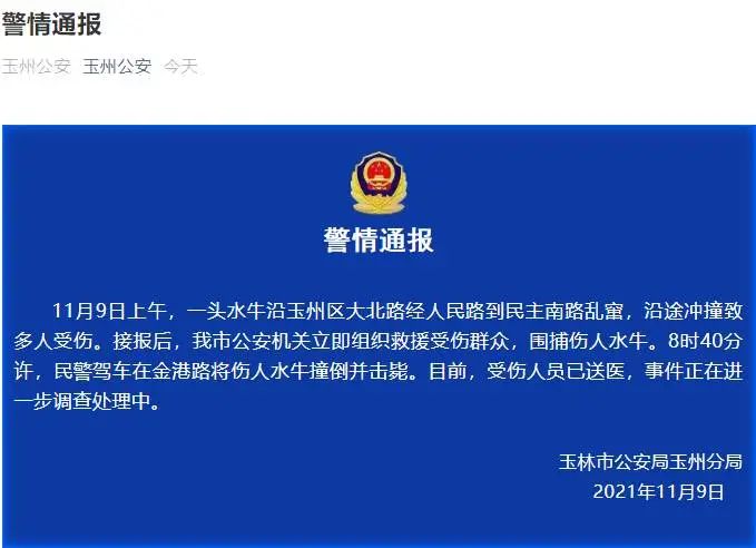太突然!果断击毙!