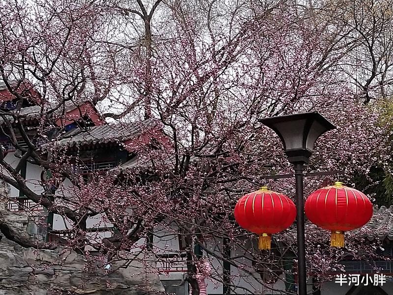 半河小胖 记今年的第一场春雨
