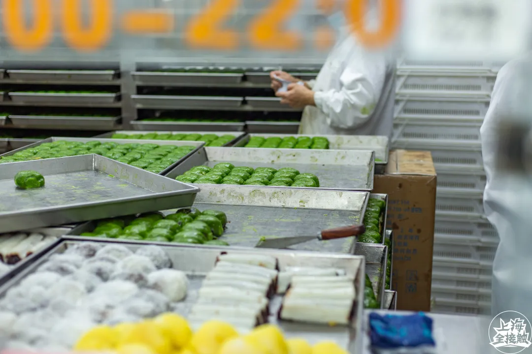 一马平天下 这东西，每年都要绿一遍上海！