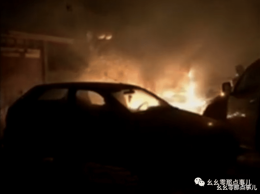 幺幺零那点事儿 北京这个小区太过分！雨天路灯漏电当场电死狗，物业却这样表态