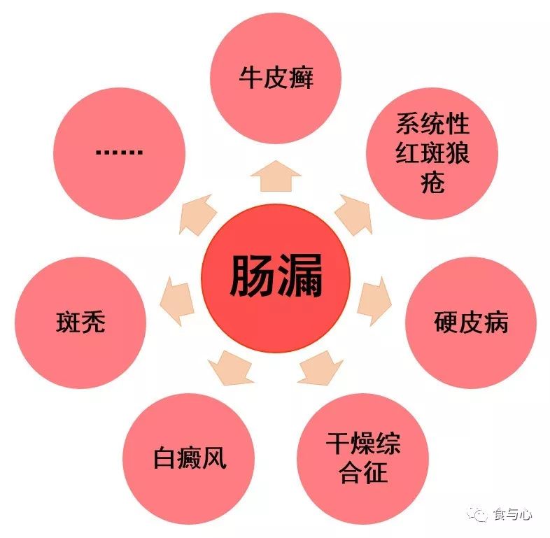 牛皮癣|肠漏，你必须知道的热知识12：牛皮癣、硬皮病和红斑狼疮