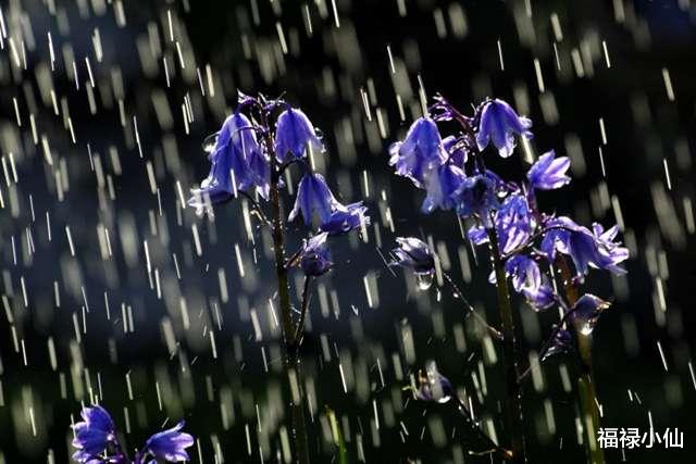 福禄小仙 堪称“及时雨”的4生肖，言出必行，雪中送炭，不求回报，值得信赖