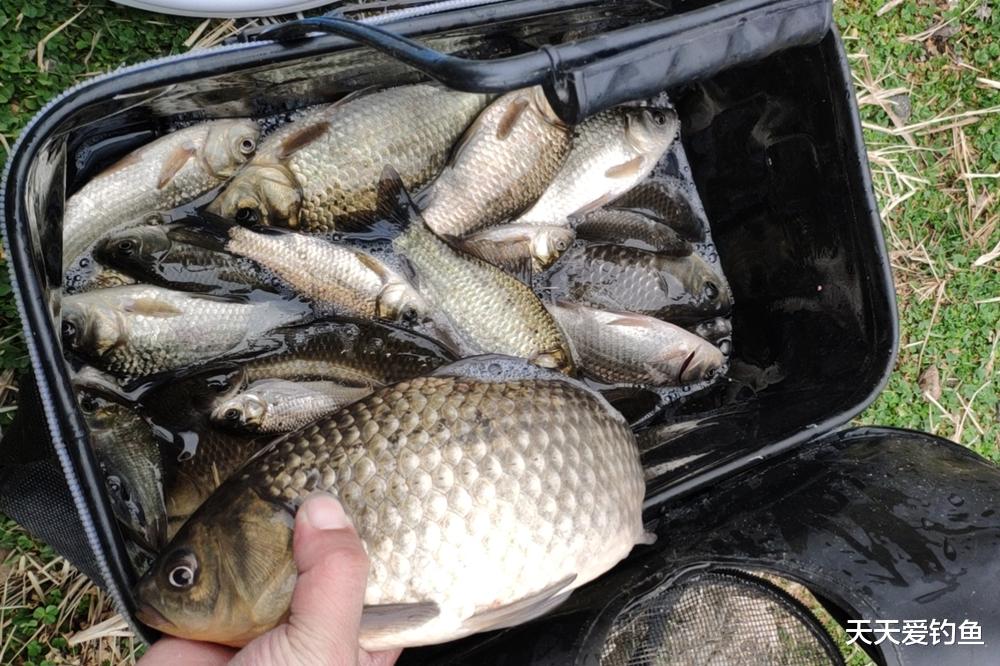 饵料|冬季钓鱼，5小5不钓，冬钓爆护还是空军，基本都概括在其中了！