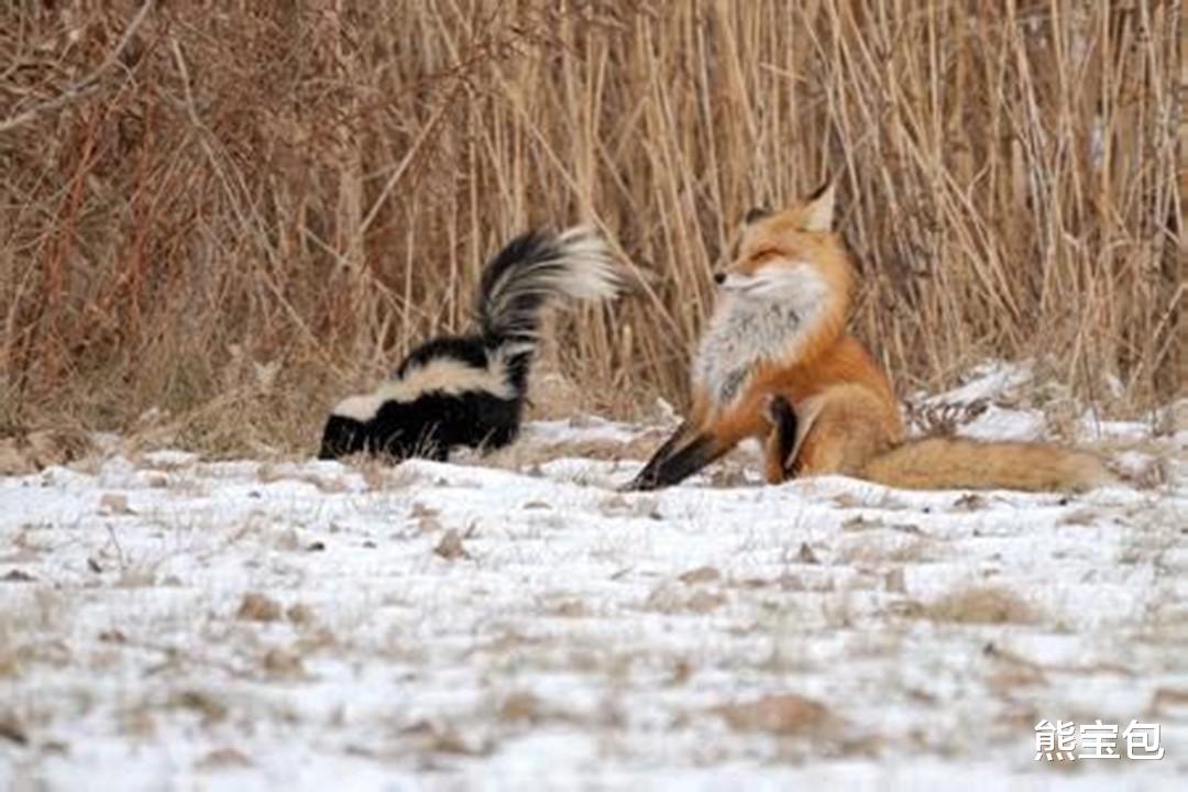  如果进化论正确，为何植物要进化出美味果实，让自己更容易被吃？
