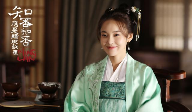 知否知否应是绿肥红瘦|知否知否应是绿肥红瘦，各花入各眼，剧中十大美人，你更欣赏谁